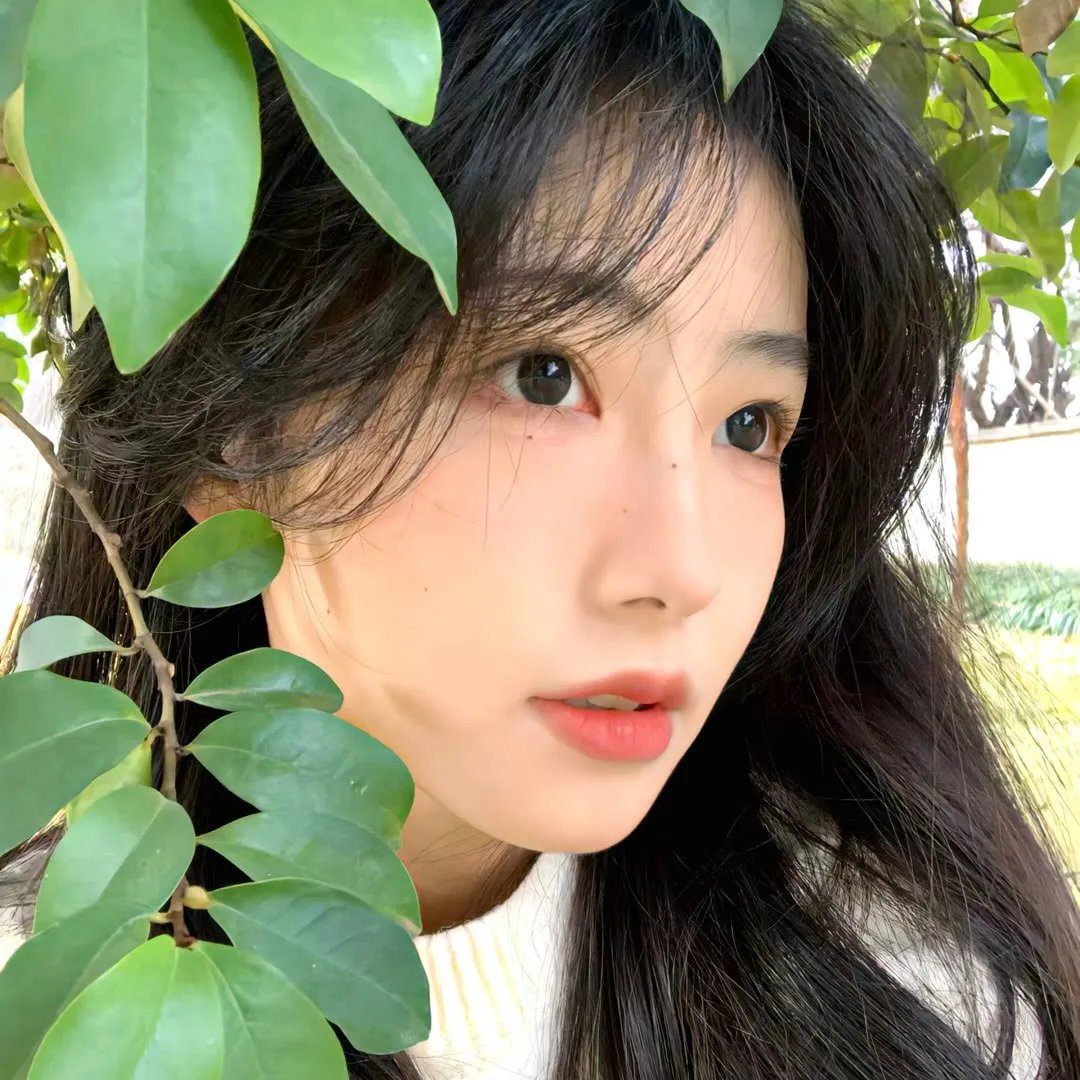 栋笃小天后