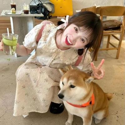 木府风云